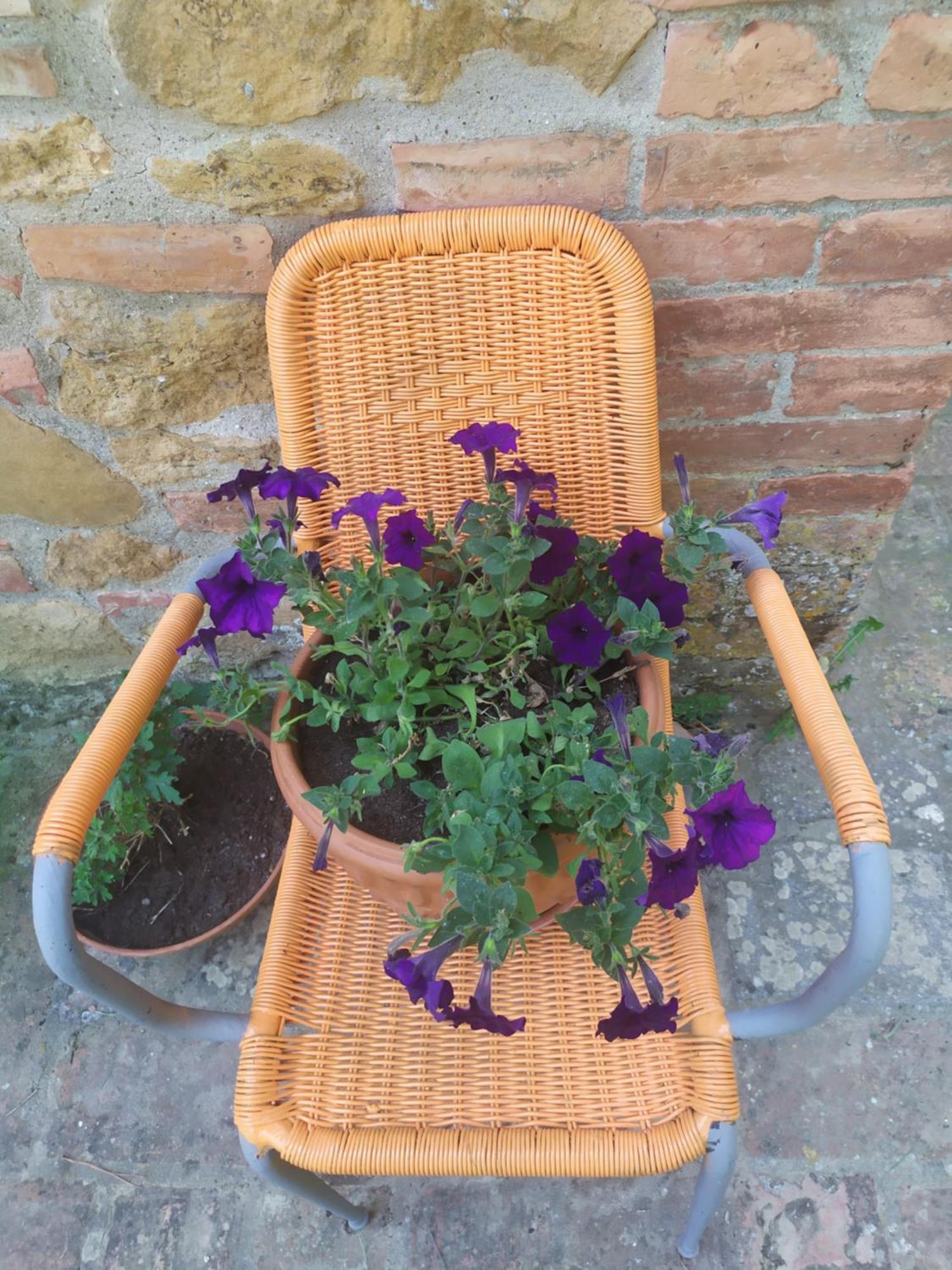 Da Tilli Alla Fornace - Agriturismo Montaione Oda fotoğraf