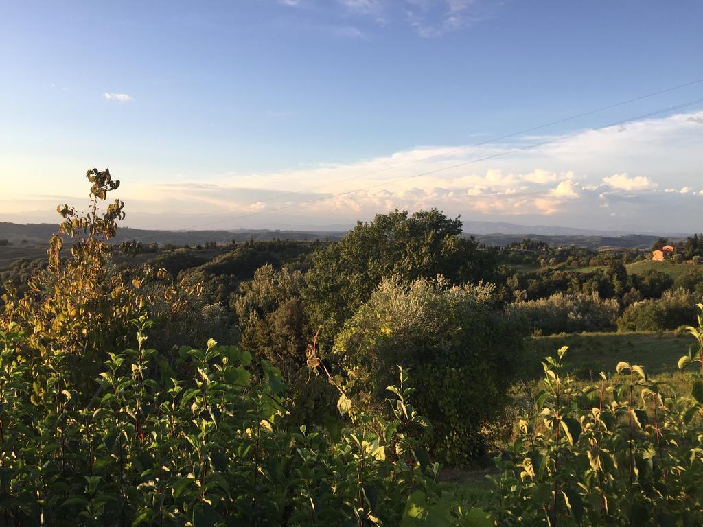 Da Tilli Alla Fornace - Agriturismo Montaione Dış mekan fotoğraf