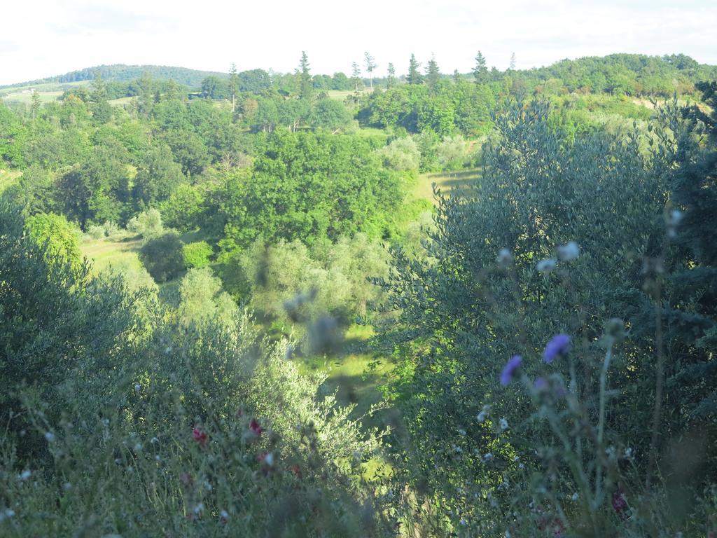 Da Tilli Alla Fornace - Agriturismo Montaione Dış mekan fotoğraf